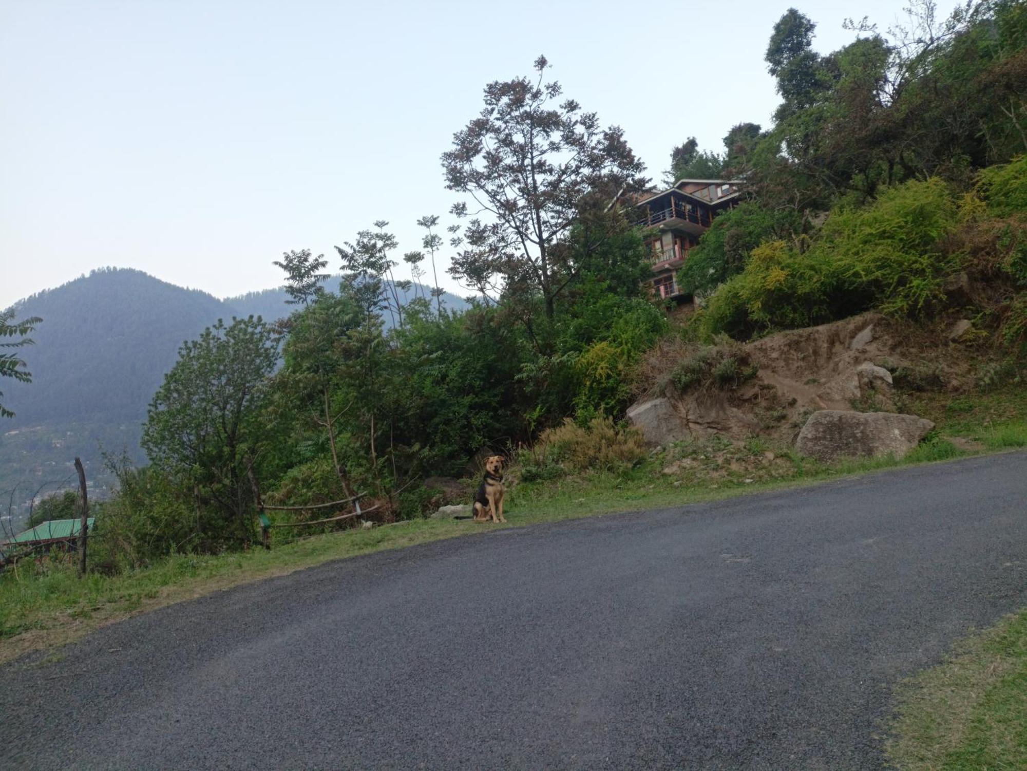 Tirthan Hilltop Home Stay Banjār المظهر الخارجي الصورة