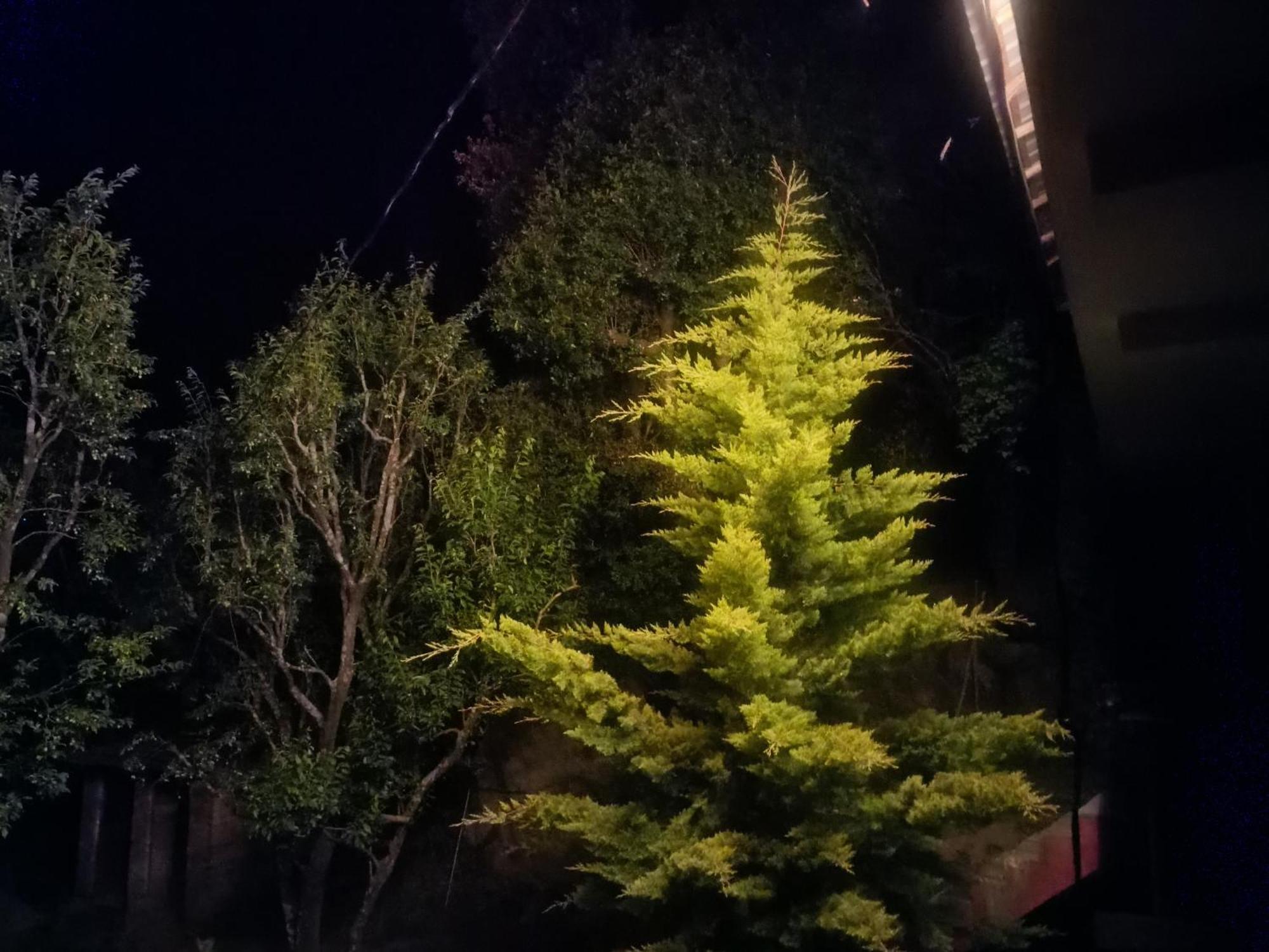 Tirthan Hilltop Home Stay Banjār المظهر الخارجي الصورة
